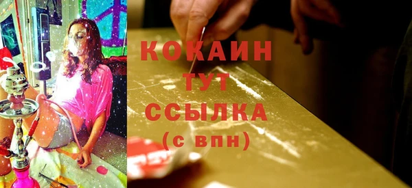 стаф Семикаракорск