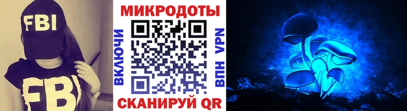 хочу   Ветлуга  даркнет наркотические препараты  Псилоцибиновые грибы ЛСД 